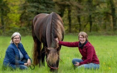 Pferdegestütztes Coaching