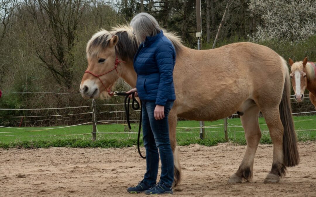 Pferdegestütztes Coaching