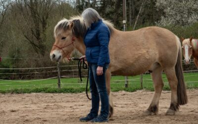 Pferdegestütztes Coaching