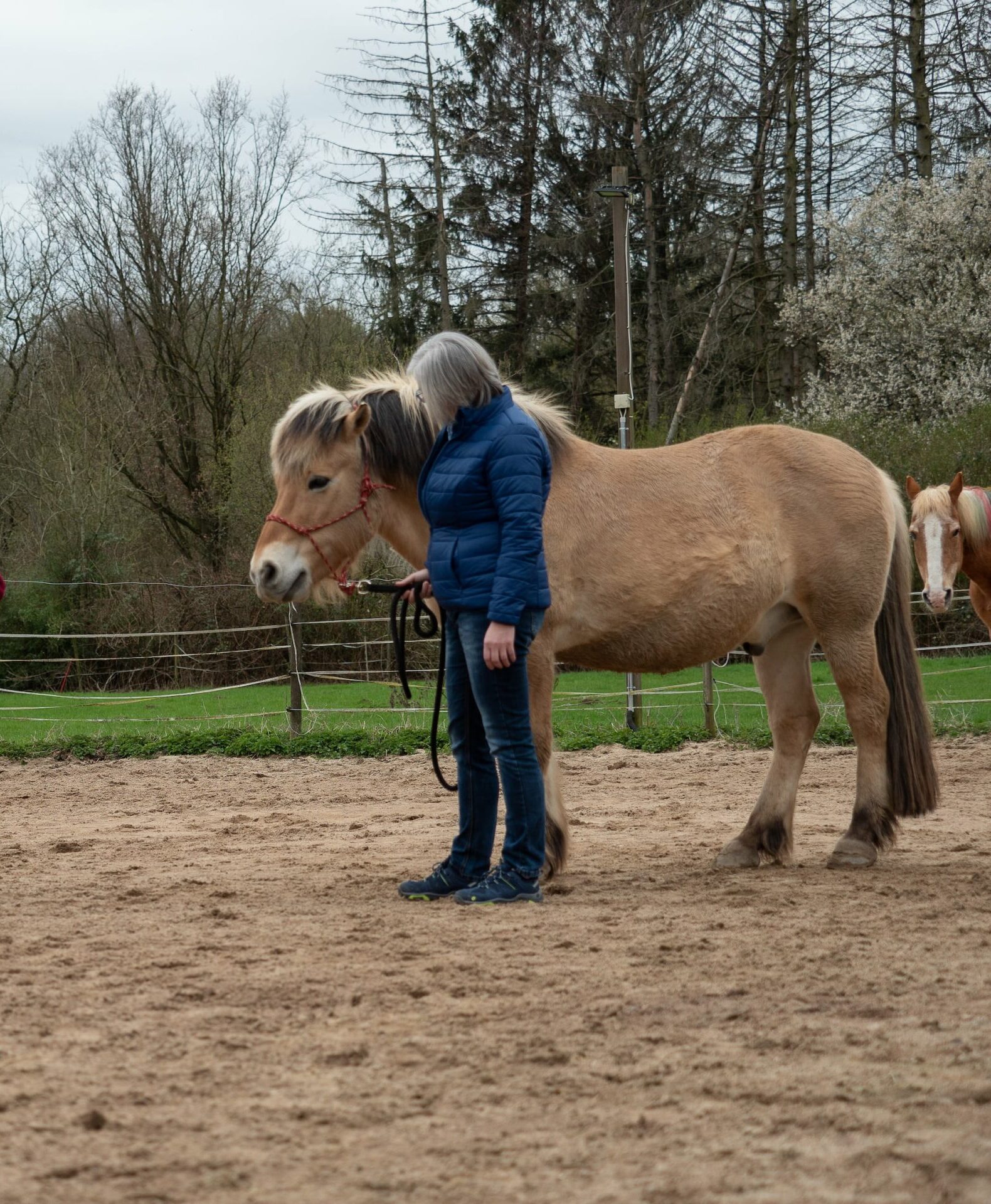 Pferdegestütztes Coaching